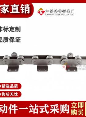 带导向轮的双节间距炼弯板输送机炼P38.1Mm单侧双孔侧带滚轮C212A