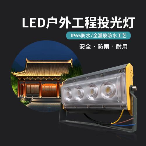LED户外投光灯投射灯q泛光灯50W照树射树灯草坪景观楼体单色彩色