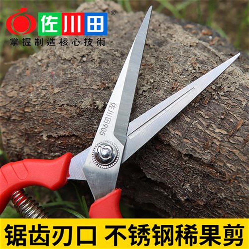疏果剪疏花剪刀葡萄摘果剪采果剪采摘花椒园艺修花V蔬果修果稀果