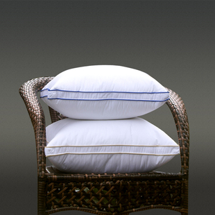 2022新款95白鹅绒三层r立体式抱枕芯靠垫床头大靠枕芯方包45 50 6