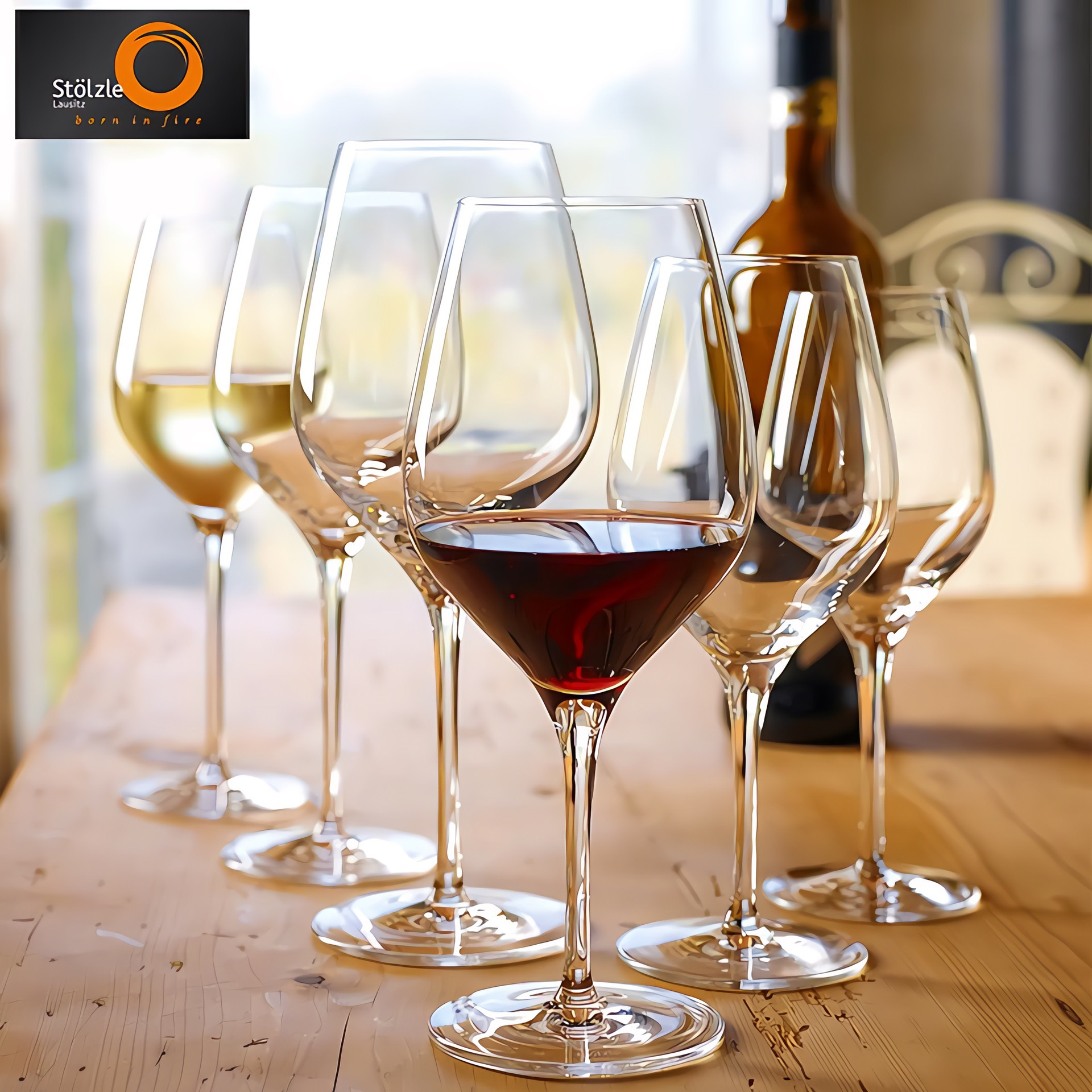 德国进口stolzle水晶玻璃红酒杯家用高脚杯高档水晶葡萄酒杯