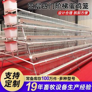 多层鸡笼四层四门阶梯蛋鸡笼 鸡舍栖息架 养鸡场专用滚蛋鸡笼子