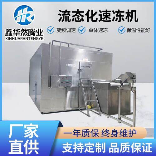 草莓葡萄芒果丁状冻大型速冻设备毛豆青刀豆流态化速冻机
