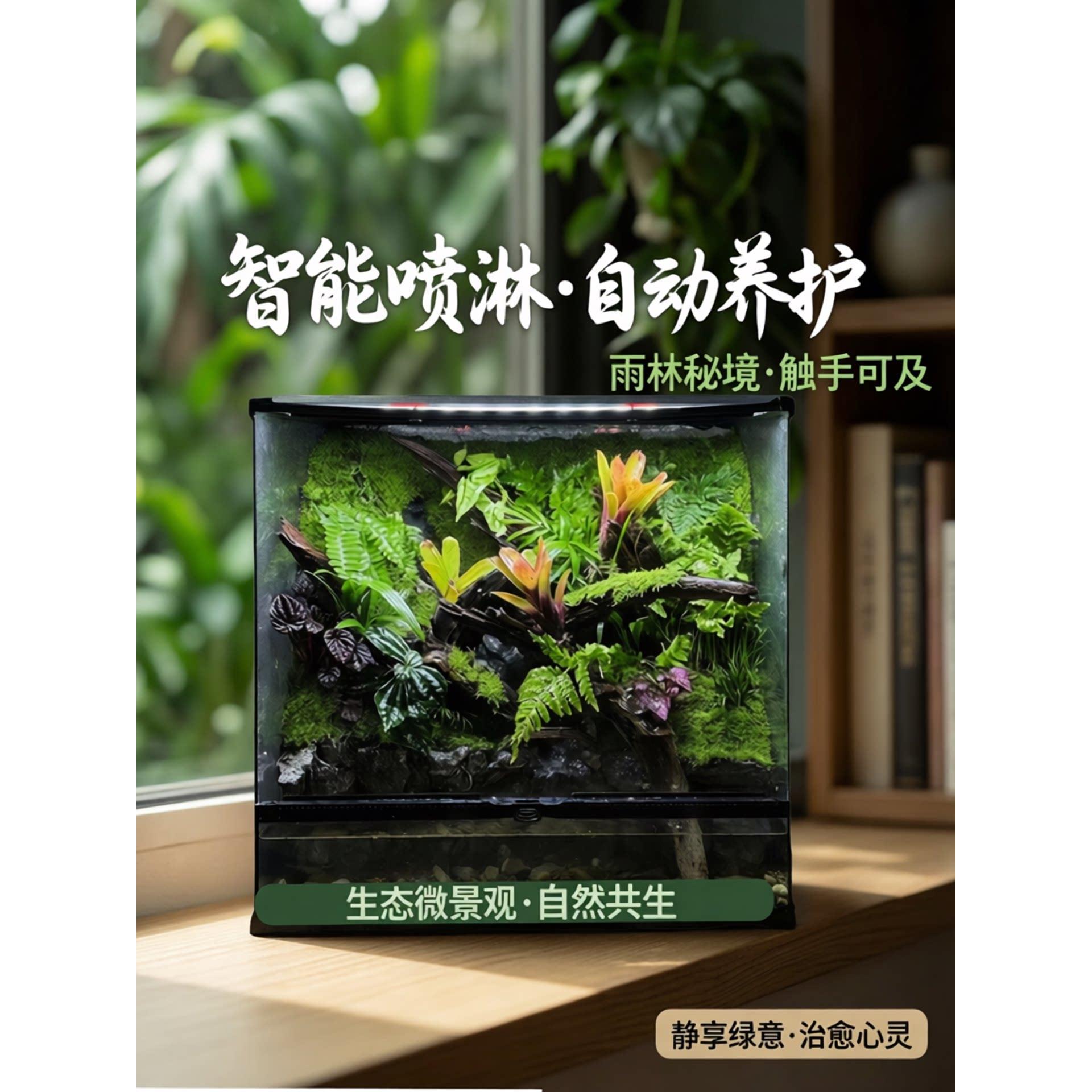 秋海棠雨林缸造景成品智能喷淋系统全套植物生态缸微景观森林摆件