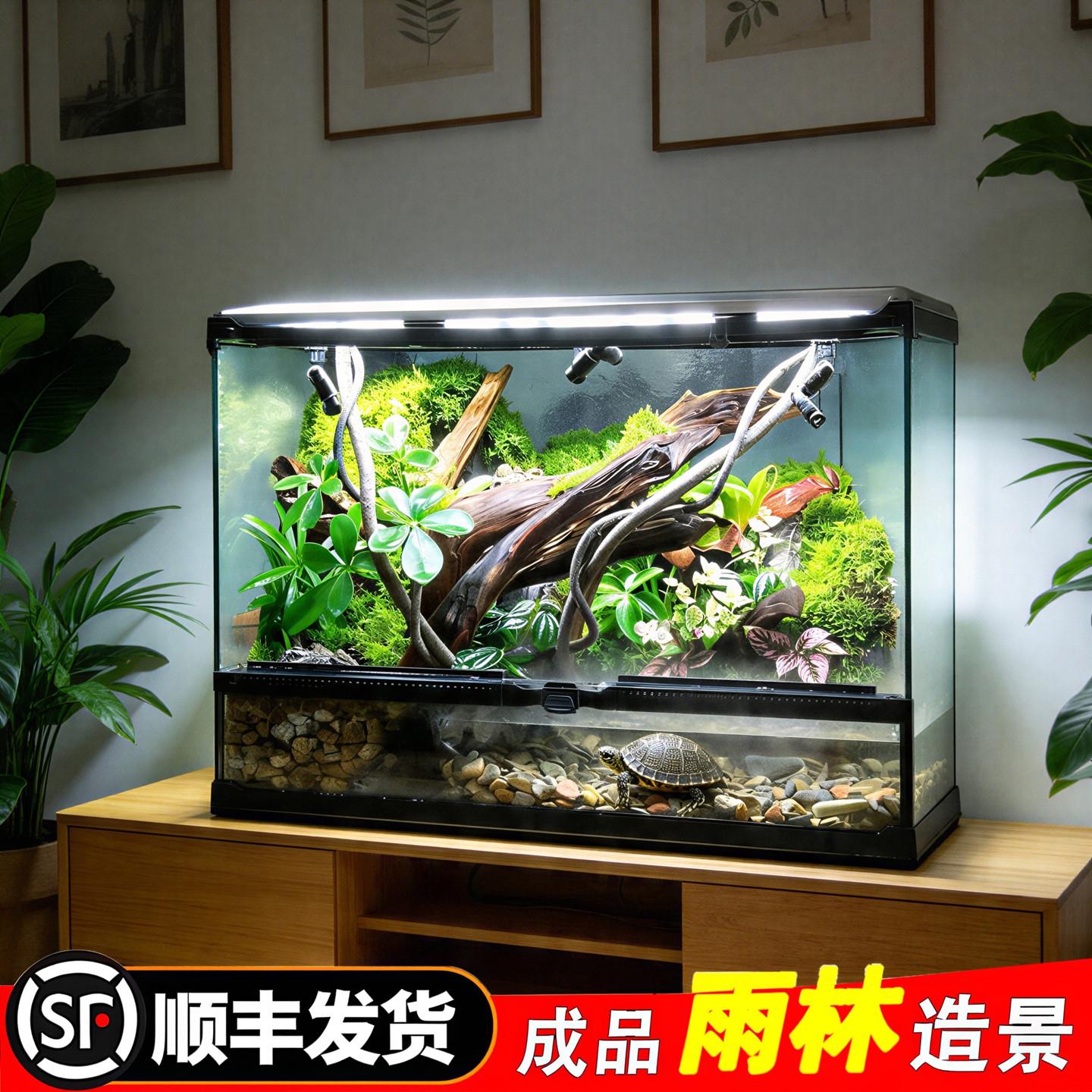 水陆雨林生态缸植物造景全套喷淋系统成品爬宠饲养箱桌面微景观缸图片