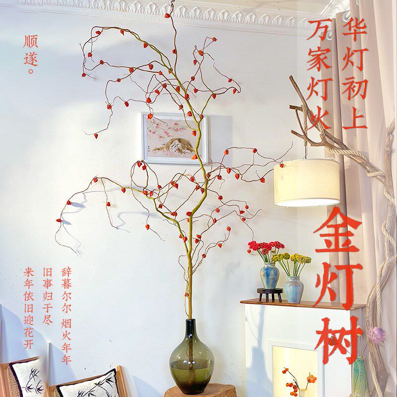 金灯树  金龙柳酸浆果鲜w枝水培植室内大型好养绿植花卉鲜切枝