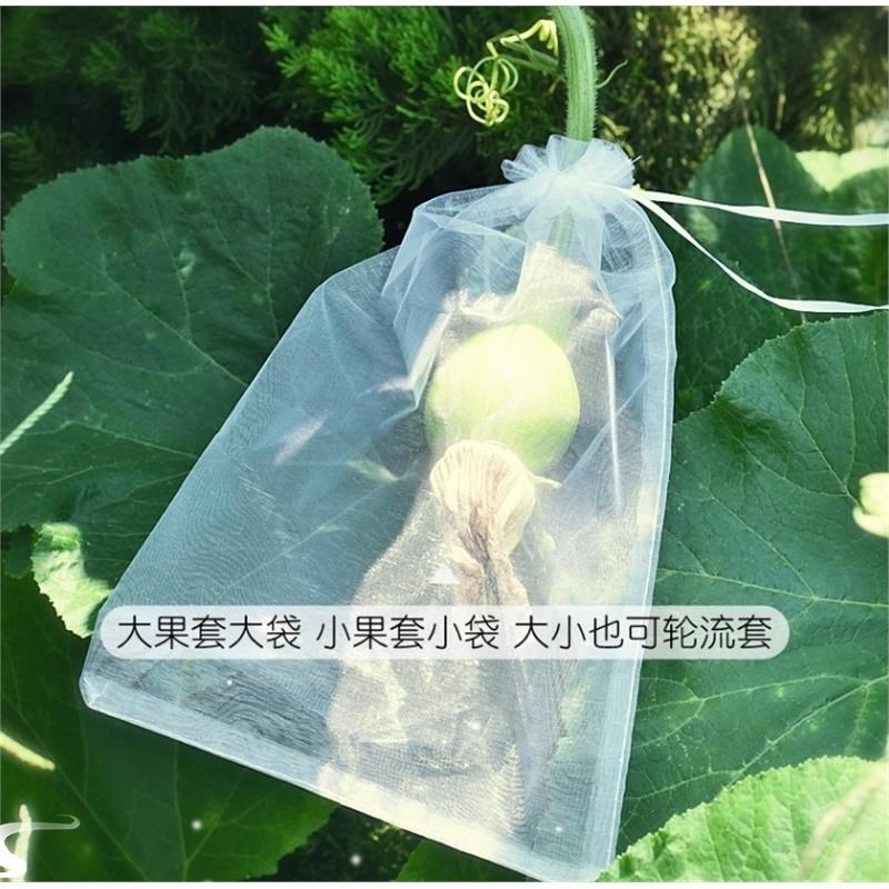 防虫保护袋水果树l上包装袋果实袋套袋专用套果袋包果袋批把桃葡