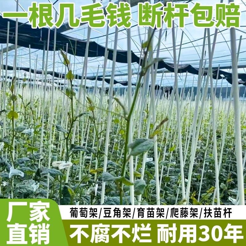 黄瓜丝瓜爬藤架条遮阳葫芦架杆攀爬花盆支架四季豆菜地葡萄架菜园
