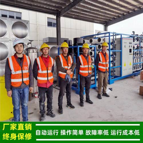 绿健2吨/小时525反渗透纯装水制0备置PL控C物联网全自动制