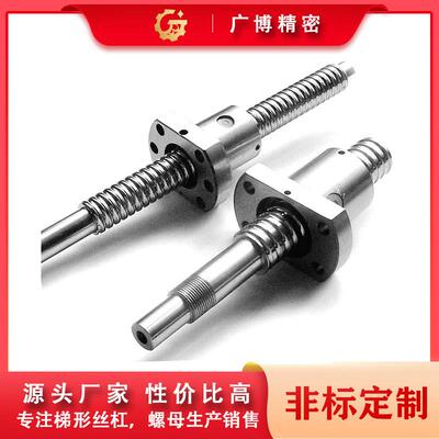 定制 滚珠丝杆1603 2503 3608 4512 5005 5016 5025 6310丝杠套装