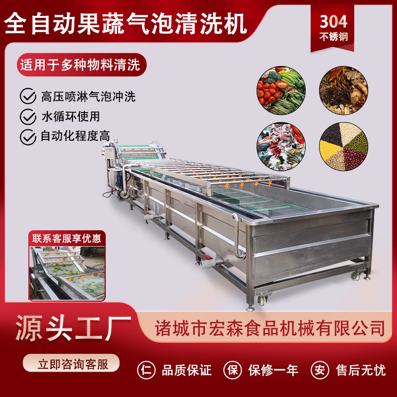全自动果蔬气泡清洗机蓝莓枸杞鲜玉米清洗设备臭氧去农残洗菜机