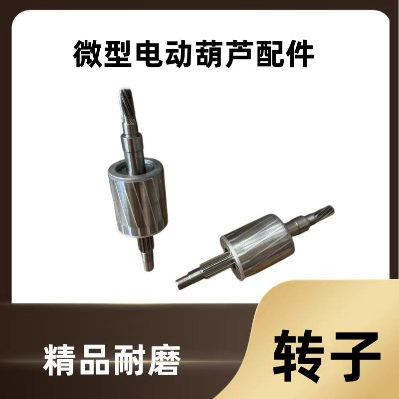 微型电动葫芦转子定子齿轮220v小吊机提升机卷扬机起重机配件大全