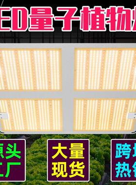 LED植物生长灯全光谱大功率量子版植物灯室内方形大棚蔬菜种植灯
