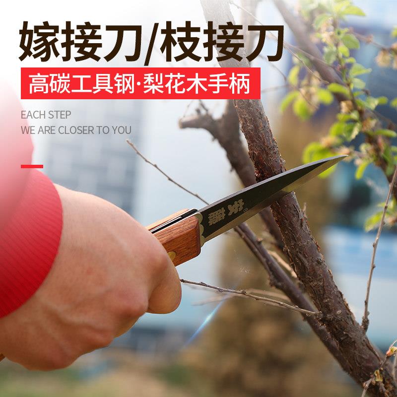 ANDOOER安藤AT-A408果树专用嫁接刀 折叠式芽接工具