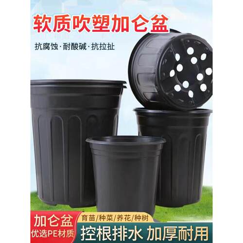 加仑罐黑色吹塑增厚营养钵苗塑料苗圃专用简单可重覆使用软花盆