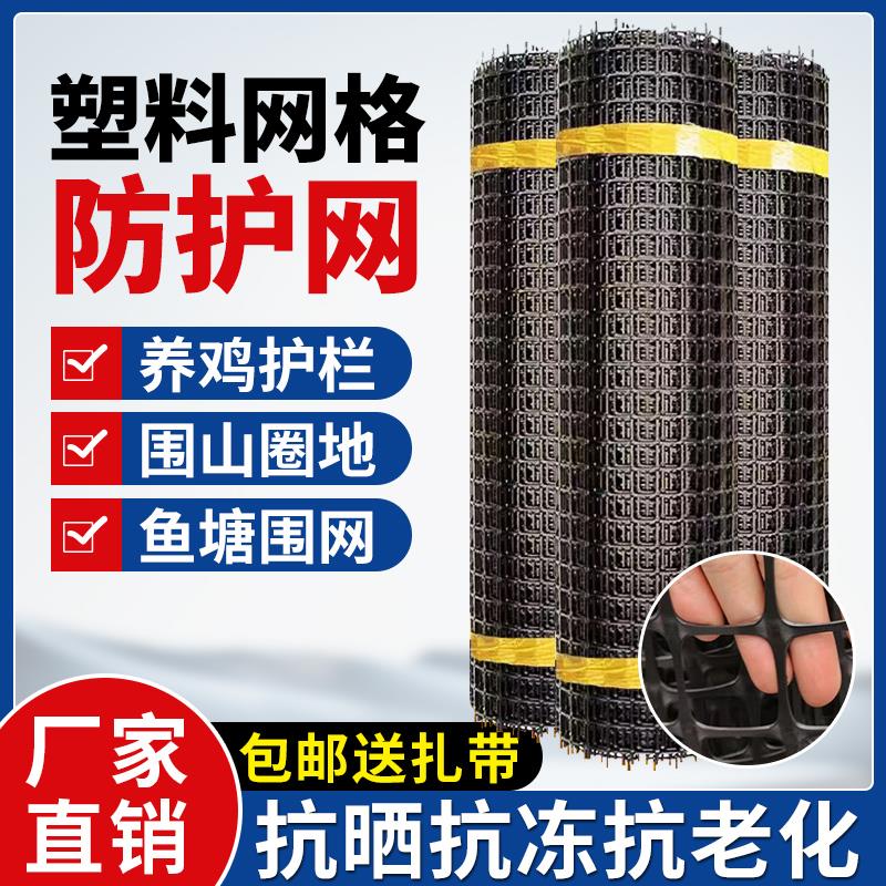 塑料网格防护网家用拦鸡栅栏圈玉米网户外菜园隔离护栏养鸡围栏网