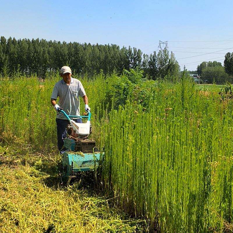 不怕草高自走式碎草还田机果园园林轻松管理割草机桃园除草机