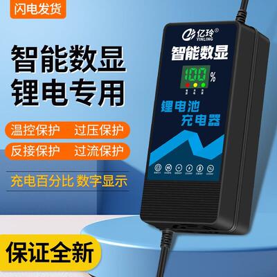 锂电池充电器48V8A54.6V58.8V5A58.4V电瓶电动车快充保护交流断电