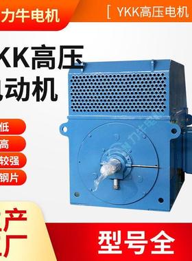 YKK系列6级355KW-6KV-10KV高压鼠笼转子三相异步电动机封闭式电机