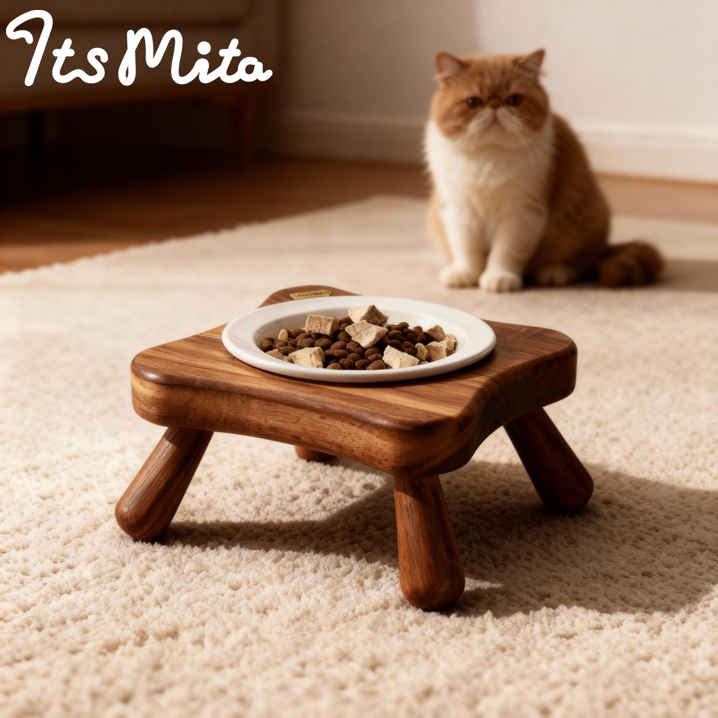 Its Mita实木餐桌猫狗陶瓷碗饭盆防打翻护颈增高木质碗架