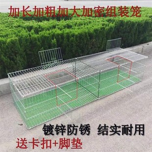 组装 鸽子笼兔笼养f鹅笼鸡笼铁丝网片装 兔笼家用大号养殖笼鸟运输