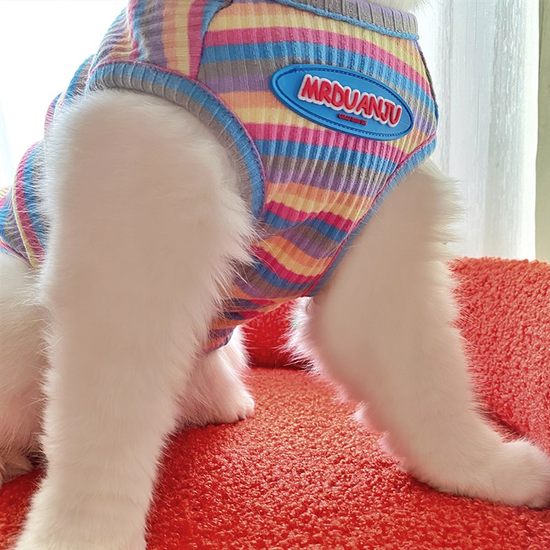 宠物猫咪衣服春夏季加菲薄款狗y条纹背心可爱小型犬奶狗防掉毛可