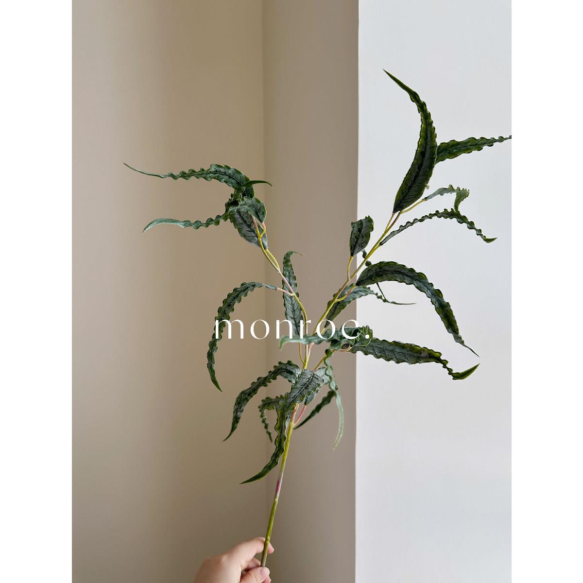 卷边尤加利·梦鹿仿真植物 干花胶感绿色植物软装陈设手感锯齿叶