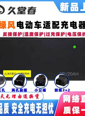 绿风电动车电瓶充电器48V12AH2A60V20AH3A72V32AH4A两孔扁针2+2