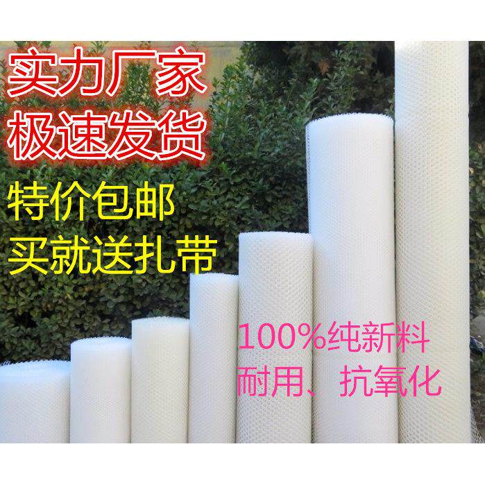 整卷包邮养蜂塑料平网片阳台楼梯护栏网养虾鱼隔离网鸡鸭鹅脚垫网