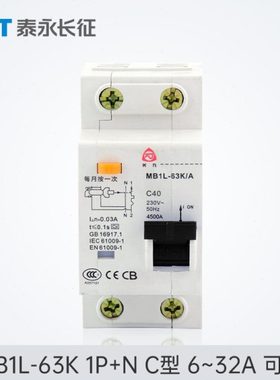 TYT泰永长征长九MB1L-63K空调漏电保护开关家用漏电保护器断路器