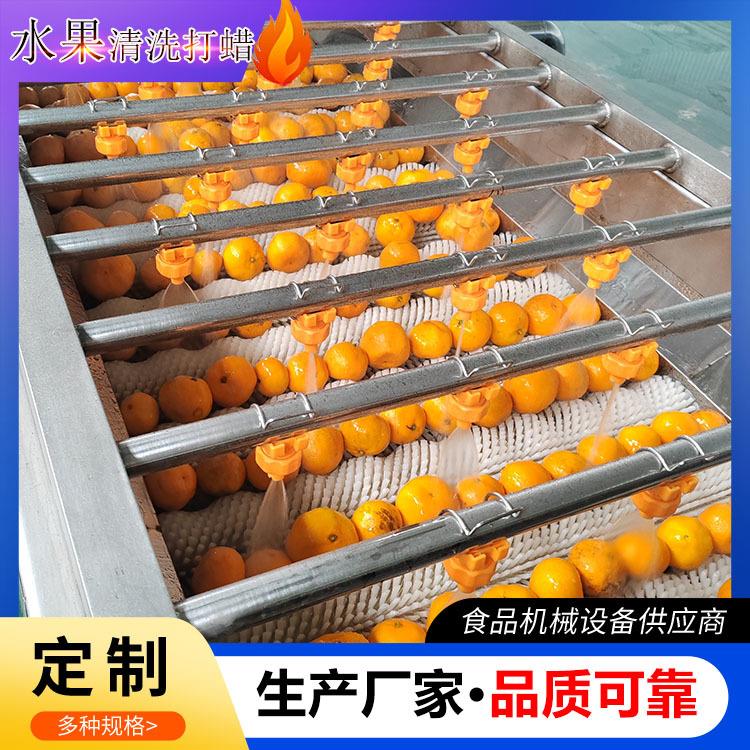 全自动洗果选果机脐橙打蜡清洗分级机源头工厂百香果清洗打蜡机