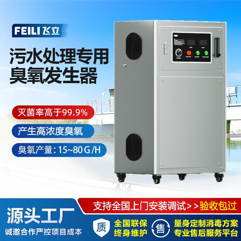 污水降COD臭氧发生器氧气源纯净水处理杀菌高浓度臭氧发生器