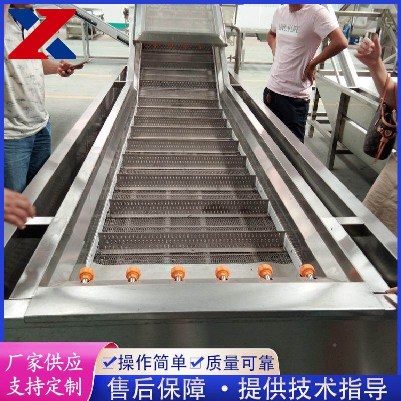 茄小南瓜清洗机设备 高压喷淋XP-4000式豇豆清洗机 菜白清洗机子