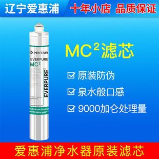 原装正品爱惠浦mc2滤芯EV961255 奶茶店大流量咖啡水吧制冰机直饮
