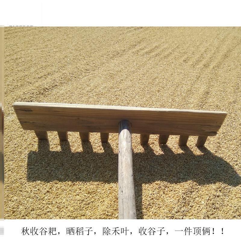七齿晒谷耙子粮食耙晒谷子实木加厚晒谷工具麦子稻谷老式木耙农用