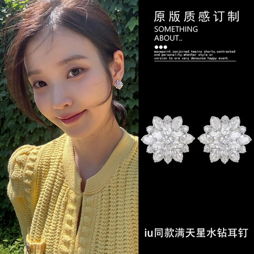 21世纪大君夫人IU李知恩同款满天星水钻耳环精致小众设计耳环耳饰