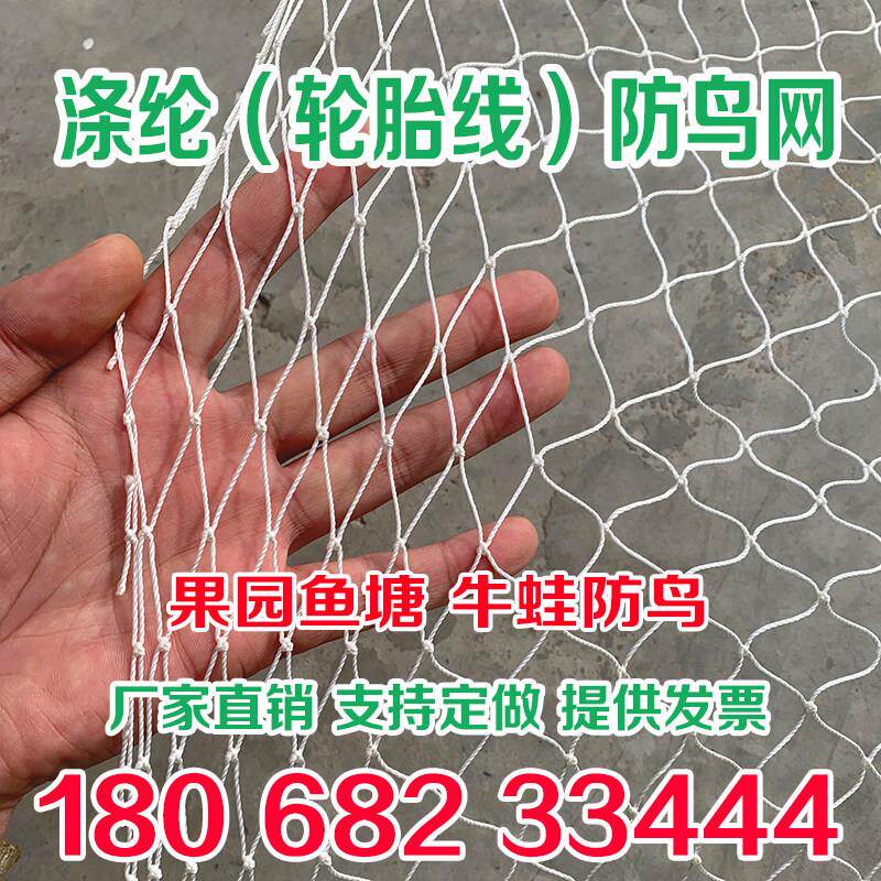 涤纶线防鸟网草莓大棚果树樱桃葡萄果园防鸟用鱼塘牛蛙轮胎线天网