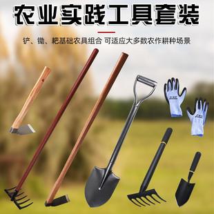 农业实践工具中小学生劳动农具大全铲子锄头除草神 农用种植套装