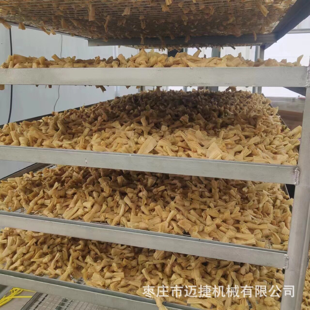 豆结豆扣干燥箱厂家新式双开门箱式烘干机工作原理电加热循环烤箱