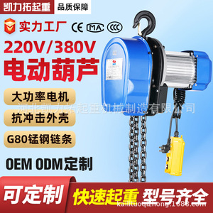 工厂直销固定挂钩式环链电动葫芦220v380v1-10吨起重提升机鬼头款