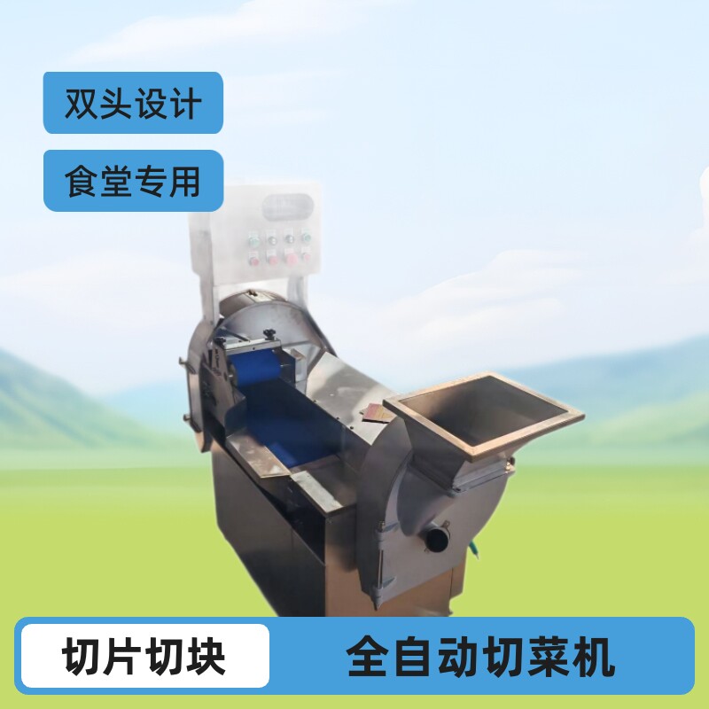 定制全自动果蔬切菜机食堂专用大型801双头切菜切片切块切菜机