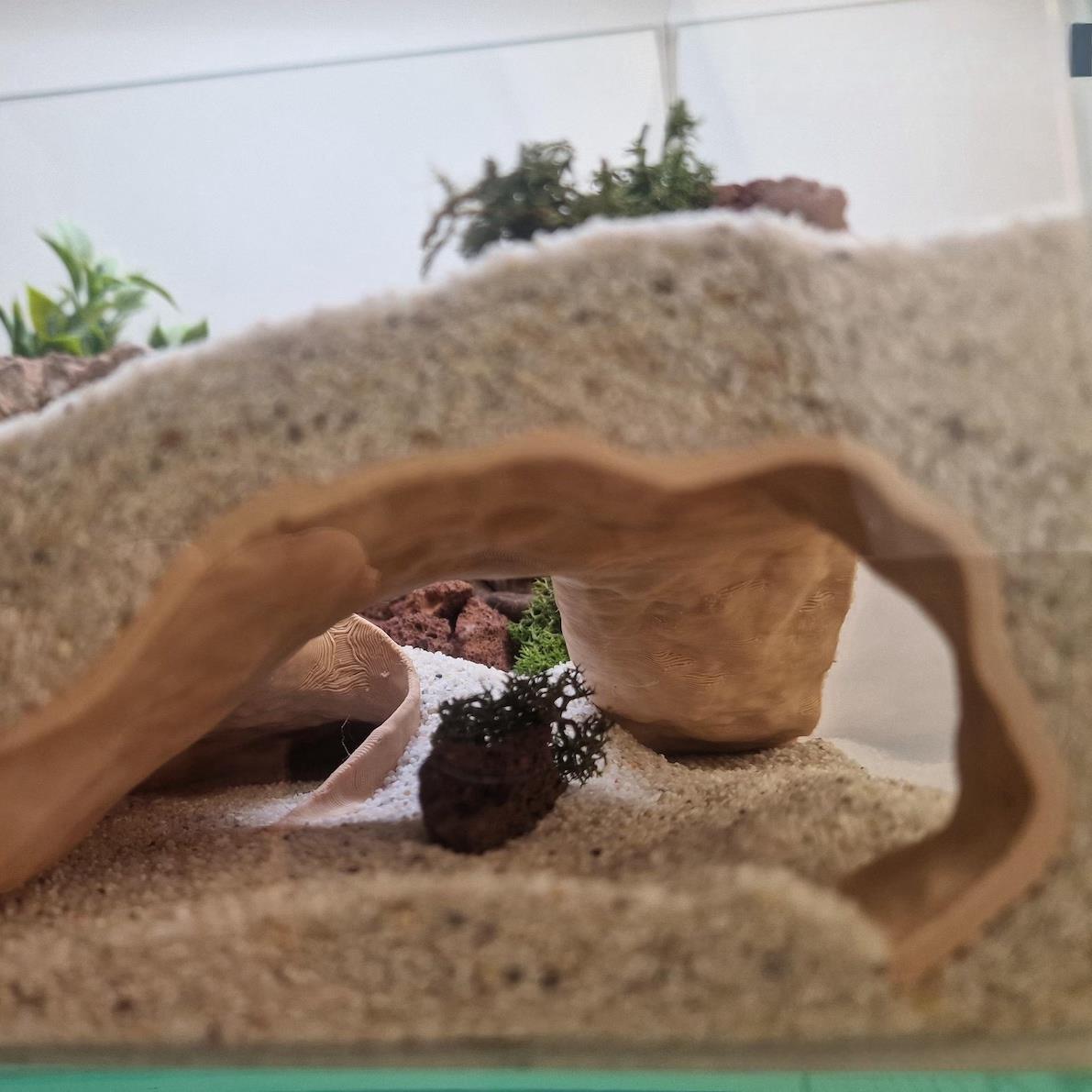 鱼缸造景天然仿真洞穴蜥蜴蛇鱼虾爬宠躲避地下洞穴观赏洞造景装饰