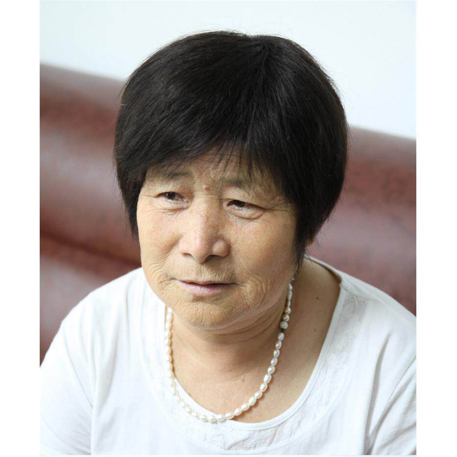 假发中老年假发女妈妈款逼真透气老年人假发全头套奶奶假发短直发