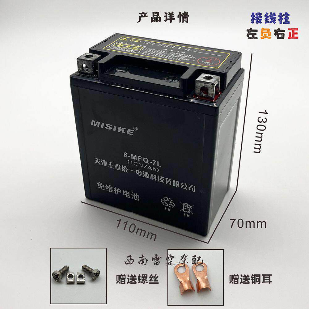 适用五羊踏板摩托车 佳颖 酷影 追梦 喜致 喜俊 踏板车电瓶电池