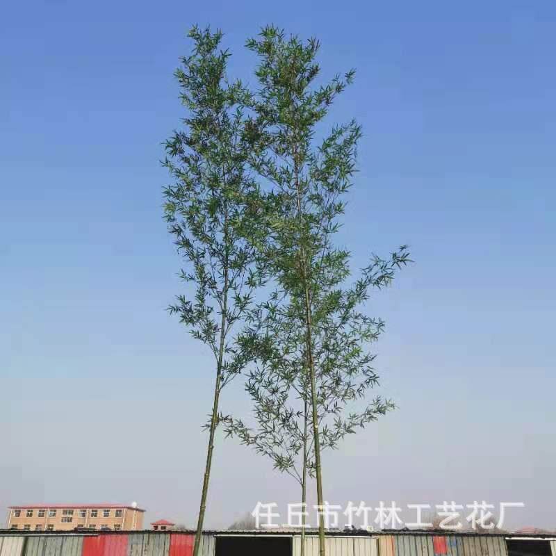仿真竹子 细水毛竹 厂家货源齐头竹 竹子盆景 观景竹 竹子底座