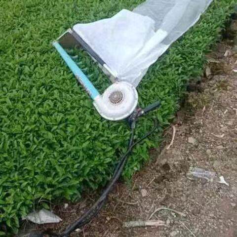 单人防露水袋采茶专用袋前布后网采摘袋尼龙网80目加厚采茶袋子