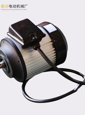 源头工厂TDYYL7114WY抛光机电机220V试验仪器电机