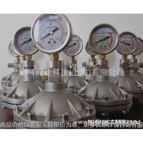 不锈钢脉动阻尼器 304不锈钢-2.0/2.5 脉冲阻尼器,