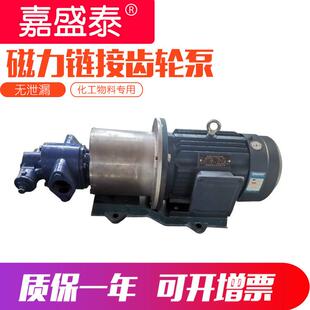 磁力齿轮泵kcb55铸铁无泄漏磁力泵润滑油输送磁力齿轮泵高压