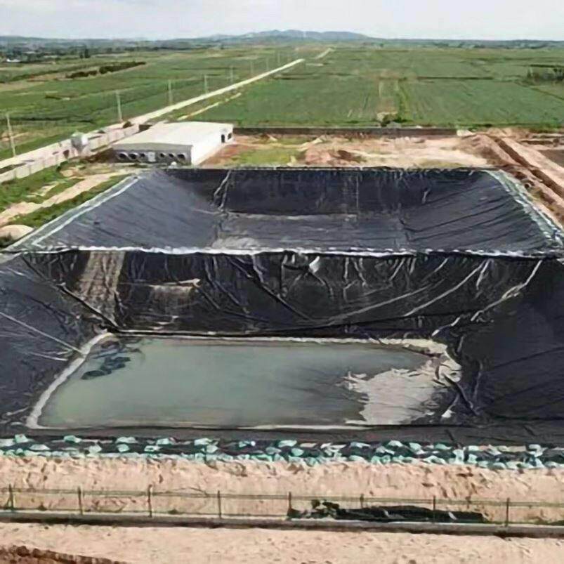 鱼塘防渗膜蓄水池防水布鱼池专用塑料黑膜防漏养殖护坡加厚土工膜